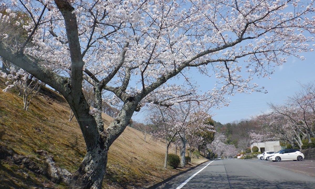 飯盛霊園風景